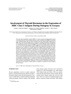 MHC Class 1 Antigens During Ontogeny in Xenopus