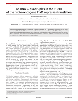 An RNA G-quadruplex in the 3` UTR of the proto