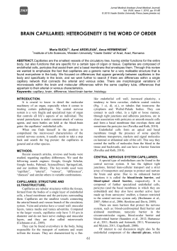 brain capillaries - Jurnal Medical Aradean