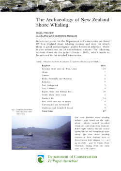 The Archaeology of New Zealand Shore Whaling