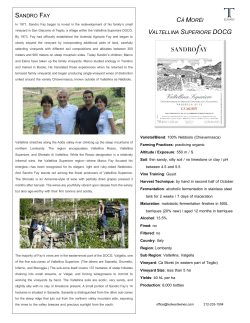 PDF - T Edward Wines