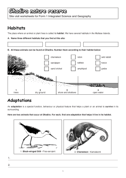Integrated science field teaching - Għadira (form 1)
