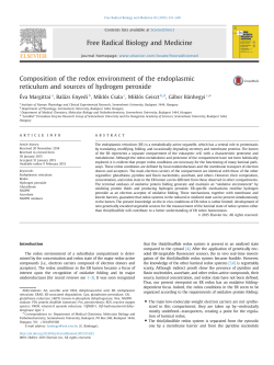 Composition of the redox environment of the