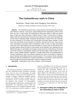 The Carboniferous reefs in China