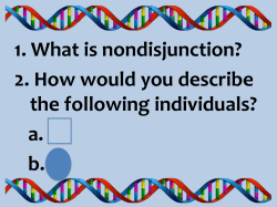 Karyotypes and Nondisjunction