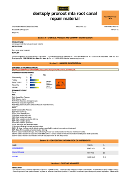 Dentsply Proroot MTA Root Canal Repair Material