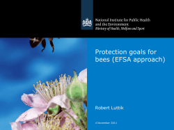 Protection goals for birds and mammals