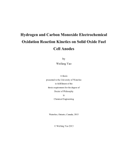Hydrogen and Carbon Monoxide Electrochemical