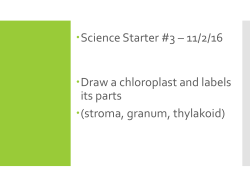 4.3 The Light Reaction