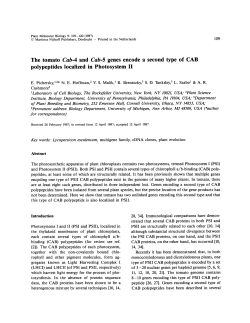 The tomatoCab-4 andCab-5 genes encode a second type of CAB