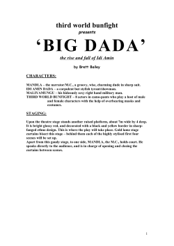 BIG DADA - Third World Bunfight