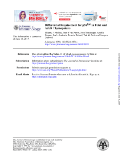 Adult Thymopoiesis in Fetal and lck Differential Requirement for p56