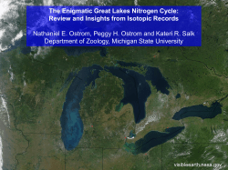 The Enigmatic Great Lakes Nitrogen Cycle: Review and Insights