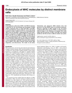 Endocytosis of MHC molecules by distinct membrane rafts