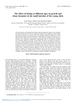 The effect of fasting at different ages on growth and tissue dynamics