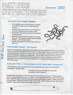 Cool Facts About Garter Snakes Cold-blooded