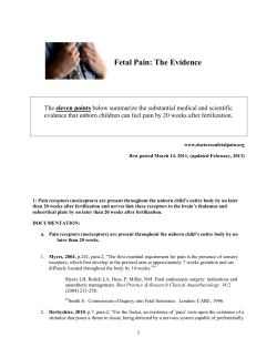 Doctors on Fetal Pain: The Evidence