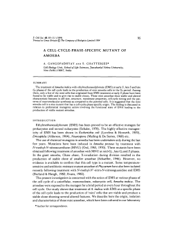 a cell-cycle-phase-specific mutant of amoeba