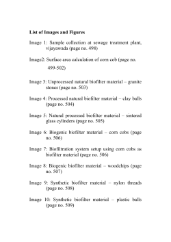 09_list of images and figures
