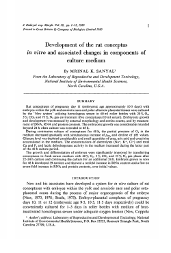 Development of the rat conceptus in vitro and associated changes in