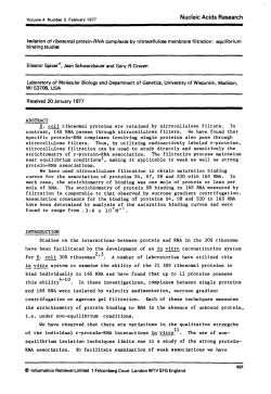 Isolation of ribosomal protein-RNA complexes by nitrocellulose