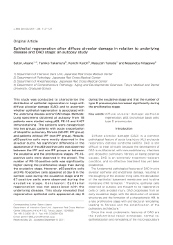 Epithelial regeneration after diffuse alveolar damage in relation to