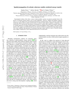 Spatial propagation of excitonic coherence enables ratcheted