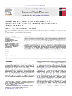 Enhanced accumulation of starch and total carbohydrates in