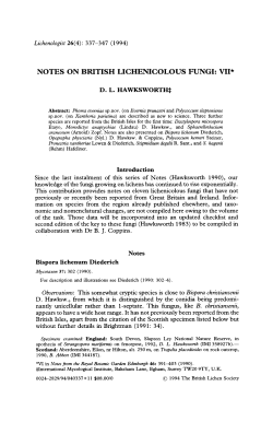 Notes on British Lichenicolous Fungi: VII