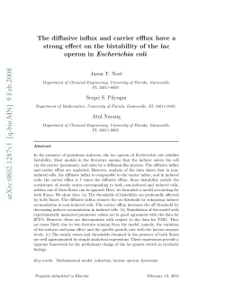 The diffusive influx and carrier efflux have a strong effect on the