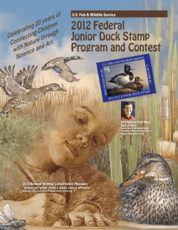 2012 Federal Junior Duck Stamp Program and Contest