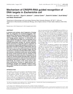 DNA targets in Escherichia coli - ScholarWorks