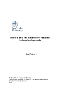 The role of MTH1 in ultraviolet radiation- induced mutagenesis