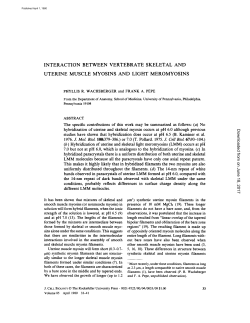 Substrate specificities of bacterial and human AlkB proteins