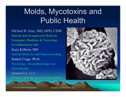 Molds, Mycotoxins and Public Health