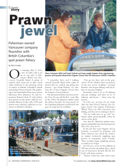 a PDF of the cover story on the