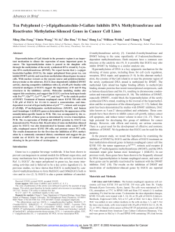 Tea Polyphenol ( )-Epigallocatechin-3-Gallate
