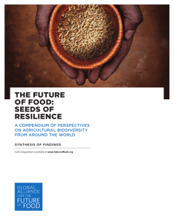 Synthesis of Findings - Global Alliance for the Future of Food