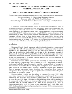 establishment of genetic fidelity of in
