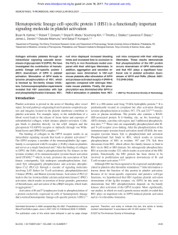 Hematopoietic lineage cell&ndash;specific protein 1 (HS1