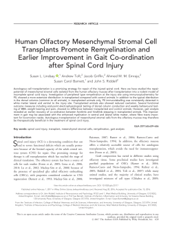 Human Olfactory Mesenchymal Stromal Cell Transplants Promote