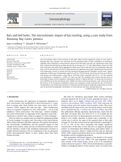 Bats and bell holes: The microclimatic impact of bat roosting, using a