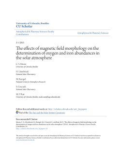 The effects of magnetic field morphology on the