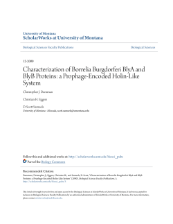 Characterization of Borrelia Burgdorferi BlyA and BlyB Proteins: a