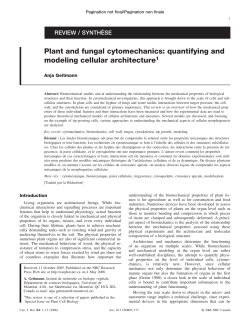 Plant and fungal cytomechanics: quantifying and modeling cellular