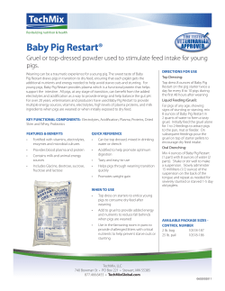 Baby Pig Restart