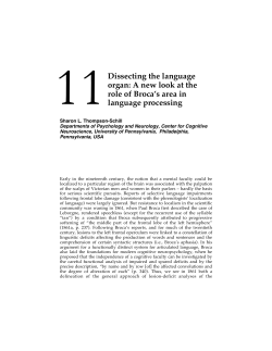 Dissecting the language organ: A new look at the role of Broca`s