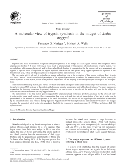A molecular view of trypsin synthesis in the midgut of Aedes aegypti