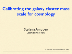 Calibrating the galaxy cluster mass scale for cosmology