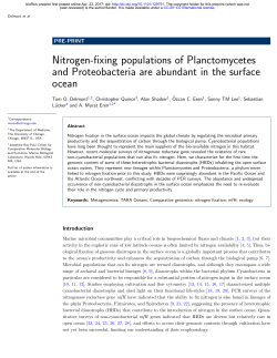 Nitrogen-Fixing Populations Of Planctomycetes And
